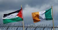 إيرلندا تعترف بدولة فلسطين الشهر الجاري