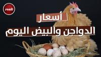 أسعار الدواجن اليوم الجمعة 29 مارس 2024.. الفراخ البيضاء تسجل هذا الرقم