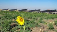 الطاقة الشمسية تنقذ الزراعة في شمال شرق سوريا